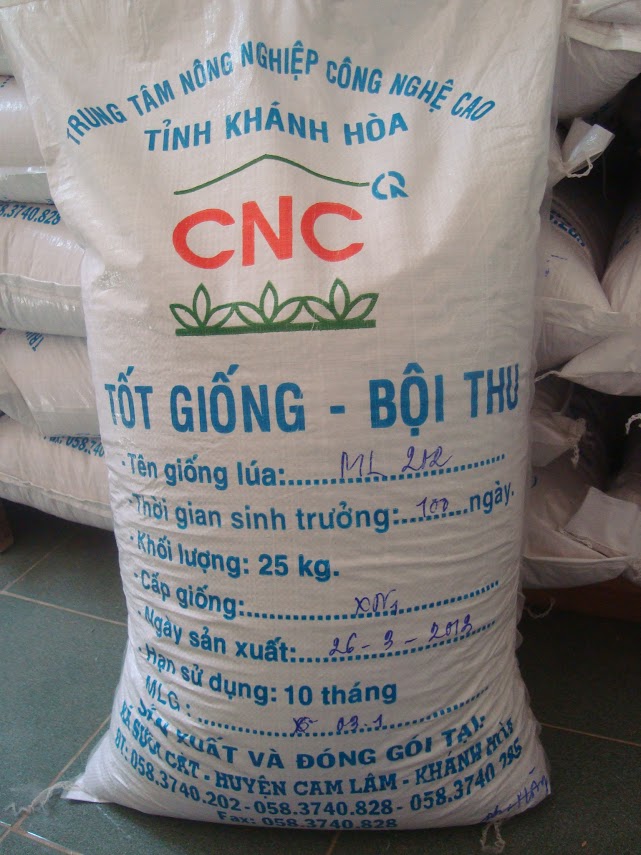Lúa giống - Trung Tâm Nông Nghiệp Công Nghệ Cao Khánh Hòa